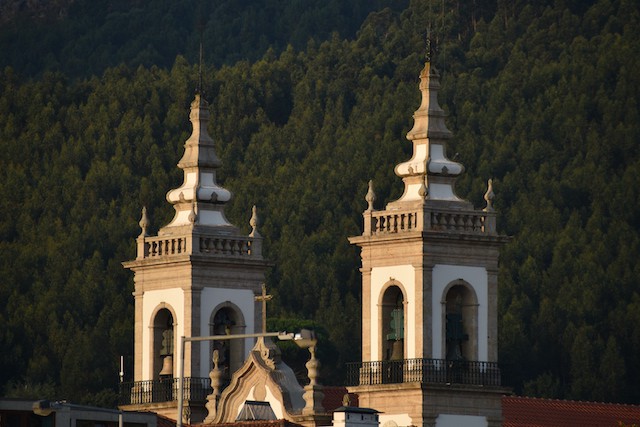 two church spires against pine forest background