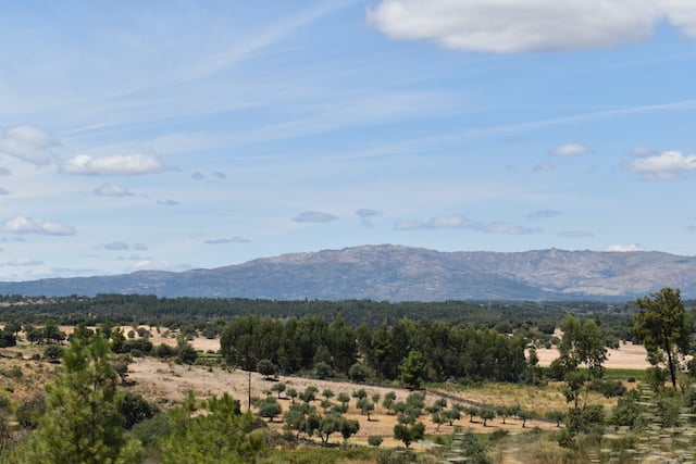 blue tinged mountains in distance with green trees and sandy ground in foreground