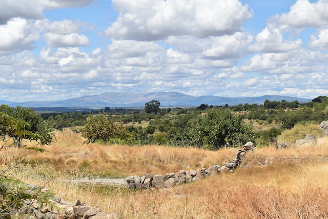 view of  fields and mountains