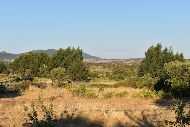 view over dried grass fields to mountains