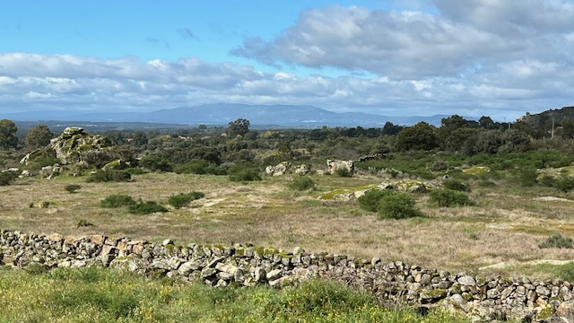 landscape of drystone wall, grassland and granite rocks with blue sky and clouds
